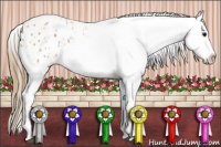 Horse Color:White Spotted Buckskin Blanket 