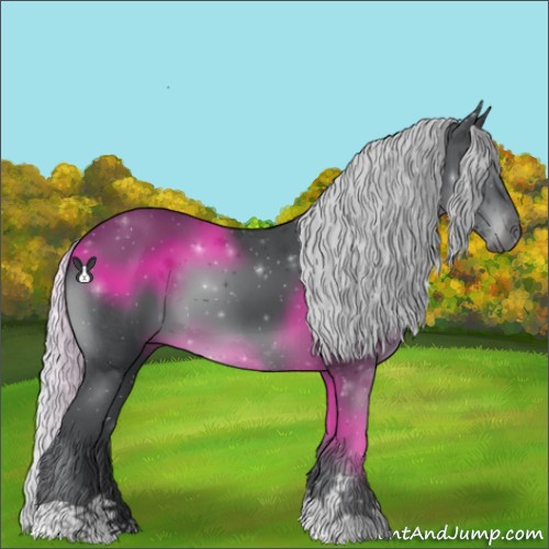 Horse Color:Silver Black Chinchilla 