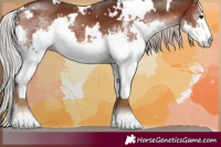 Horse Color:White Spotted Silver Brown Splash