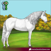 Horse Color:Gray Silver Grullo Pearl 