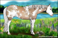 Horse Color:White Spotted Silver Black Pearl Splash