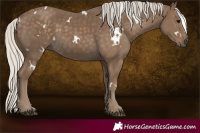 Horse Color:White Spotted Silver Smoky Black