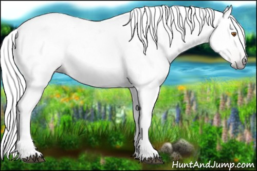 Horse Color:Gray White Spotted Silver Black Pearl 