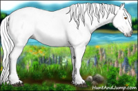 Horse Color:Gray White Spotted Silver Black Pearl