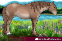 Horse Color:Black Pearl
