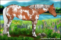 Horse Color:White Spotted Silver Brown
