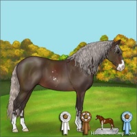 Horse Color:Silver Brown Sabino 
