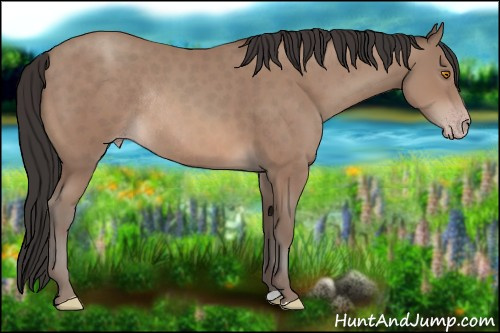 Horse Color:Sable Champagne Rabicano