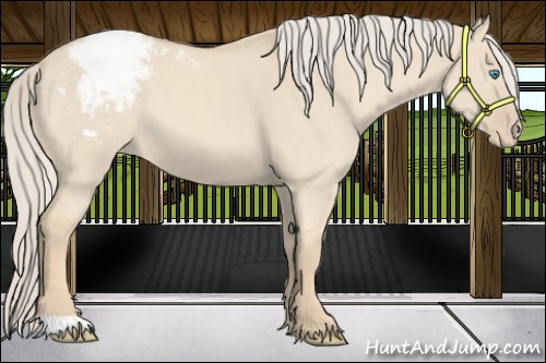 Horse Color:Cremello Dun Snowcap 
