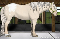 Horse Color:Cremello Dun Snowcap 