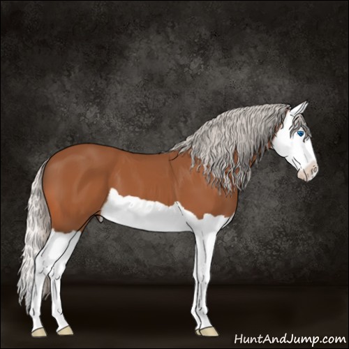 Horse Color:Silver Bay Splash 