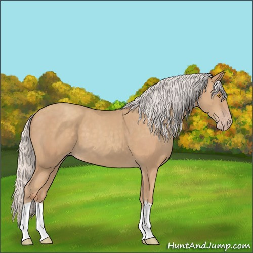 Horse Color:Silver Classic Champagne 