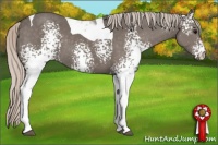 Horse Color:White Spotted Silver Black Tobiano 