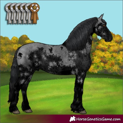 Horse Color:Void White Spotted Grullo Chinchilla Splash 