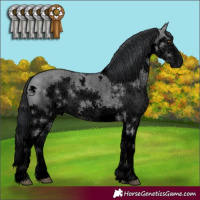 Horse Color:Void White Spotted Grullo Chinchilla Splash
