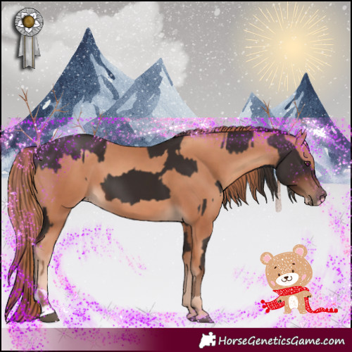 Horse Color:Liver Chestnut  and Gold Champagne 