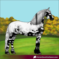 Horse Color:Void White Spotted Palomino Chinchilla Dun Splash 