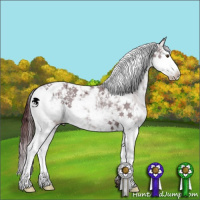 Horse Color:Chocolate Grullo Chinchilla Sabino Brindle 