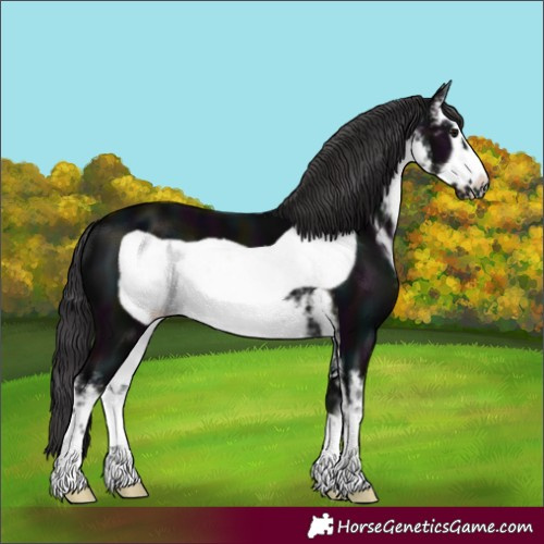Horse Color:White Spotted Midnight Smoky Black Frame