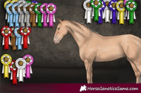 Horse Color:Silver Classic Champagne 