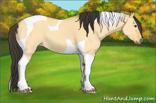 Horse Color:Buckskin Dun Tobiano 