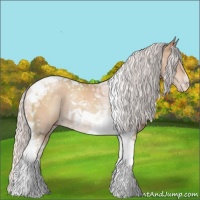 Horse Color:Silver Classic Champagne Tobiano Rabicano 