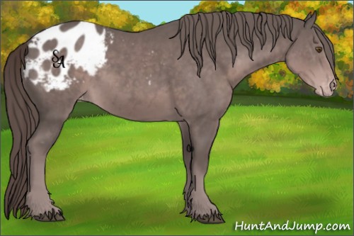 Horse Color:Platinum Liver Chestnut Sabino Appaloosa