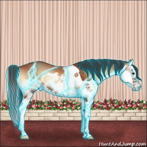 Horse Color:Thunderstruck Bay Onyx Splash 