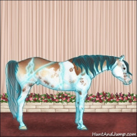 Horse Color:Thunderstruck Bay Onyx Splash 