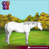 Horse Color:Liver Chestnut Frame