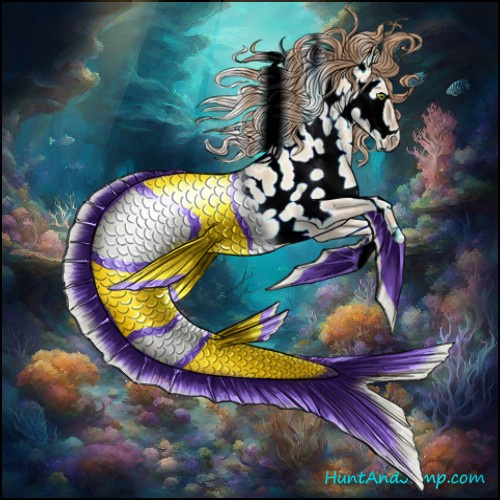 Horse Color:Gold Champagne Roan Dun Appaloosa Rabicano 