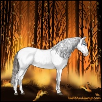 Horse Color:Liver Chestnut Frame 