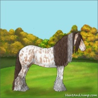 Horse Color:Amber Champagne Sabino Tobiano Appaloosa  and Amber Champagne Sabino Tobiano Appaloosa 