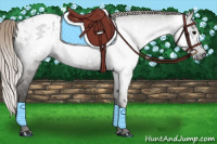 Horse Color:Gray Silver Black Blanket