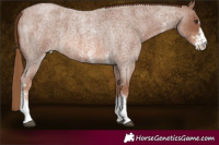 Horse Color:Red Roan Sabino 