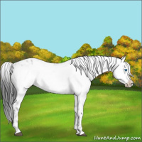 Horse Color:Black Frame 