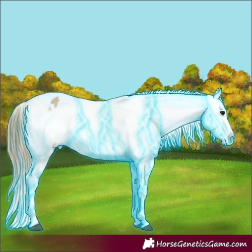 Horse Color:Thunderstruck Bay Dun Appaloosa