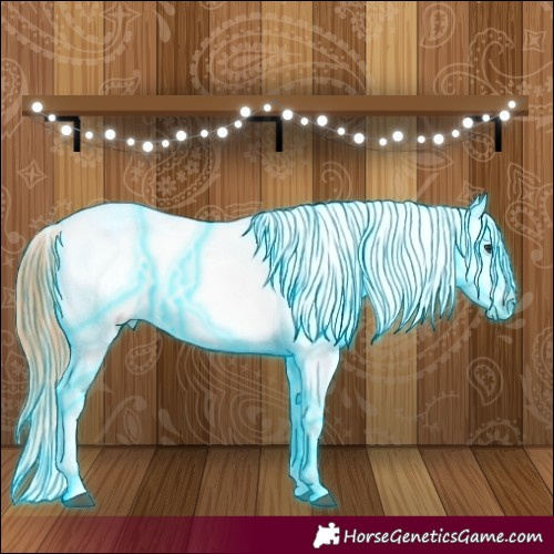 Horse Color:Thunderstruck Bay Roan Dun Appaloosa 