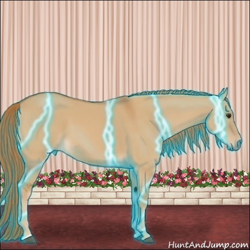 Horse Color:Thunderstruck Red Dun