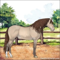 Horse Color:Sable Champagne Dun Varnish