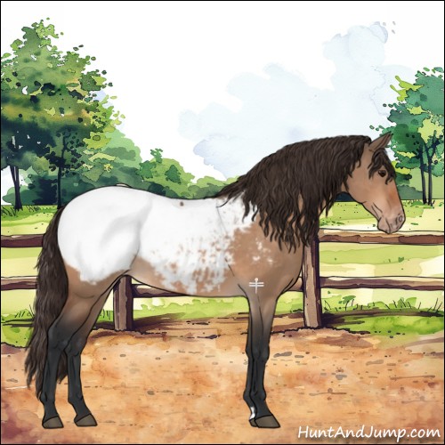 Horse Color:Bay Dun Snowcap 
