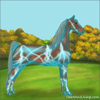 Horse Color:Thunderstruck Chestnut 