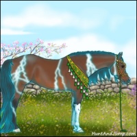 Horse Color:Thunderstruck Bay 