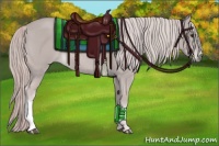 Horse Color:Platinum Red Roan 
