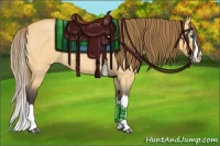 Horse Color:Buckskin Roan Dun Splash Appaloosa