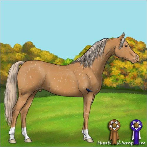 Horse Color:Palomino Snowflake Varnish