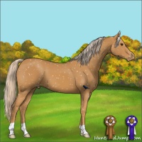 Horse Color:Palomino Snowflake Varnish