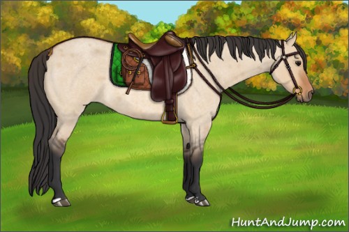 Horse Color:Bay Roan Dun 