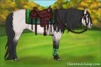 Horse Color:Platinum Bay Roan Dun