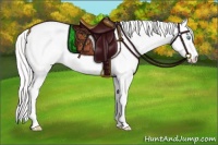Horse Color:Platinum Cremello Roan Dun 